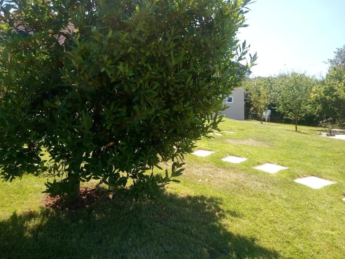 Casal Do Pinheiro Villa Óbidos Eksteriør bilde